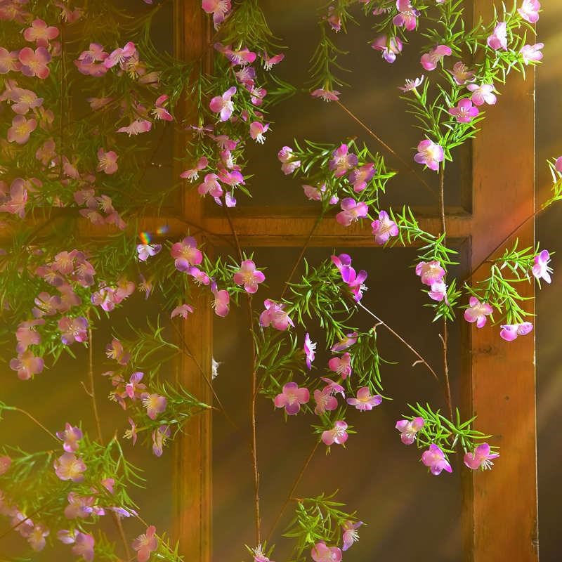 彷真迎春b花藤假花藤条空调管道装饰缠绕遮挡室内塑料花墙藤蔓植