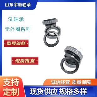 减速机轴承 CPM2652 厂家供应CPM系列无外圈满装 圆柱滚子轴承