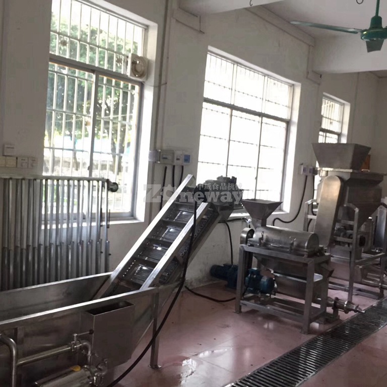 葡萄酒前处理加工生产线设备 果酒生产线 葡萄前处理流水线设备