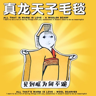 见到朕为何不跪毛毯子搞怪龙玉涛表情包空调毯夏T季午睡法兰绒单