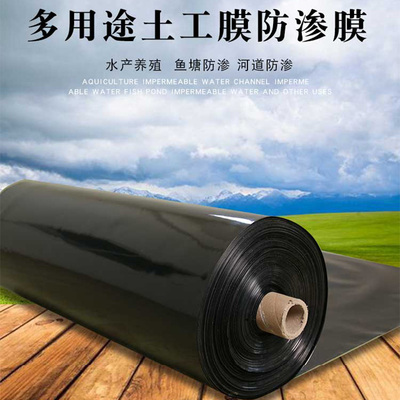 土工膜防渗膜鱼塘藕池防水复合土工膜养殖沼气池加厚塑料薄膜黑色