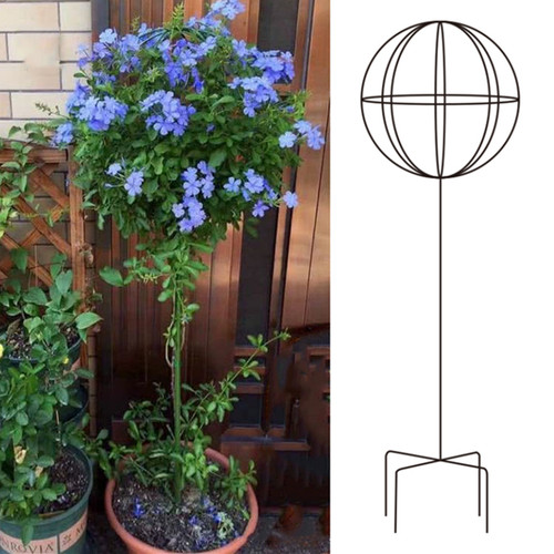 风车茉莉铁线莲爬藤架蓝雪花棒棒糖花架子花盆R支架杆铁艺球形造