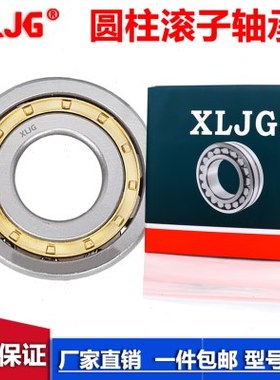 NJG2309 2310 2311 2312 SL192309 192310 192311 192312圆柱轴承