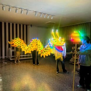 表演服中国舞龙舞狮子 节目表扬气氛道具民间文化龙三节发光新年