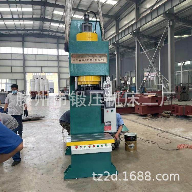 厂家直发100T单臂液压机200T冲压成型压力机实体厂家价格优惠