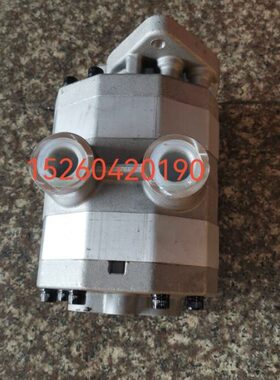 WSD原装液压双联齿轮泵油泵2CB-FC50/10 63/10 16/16 20/16 25/16