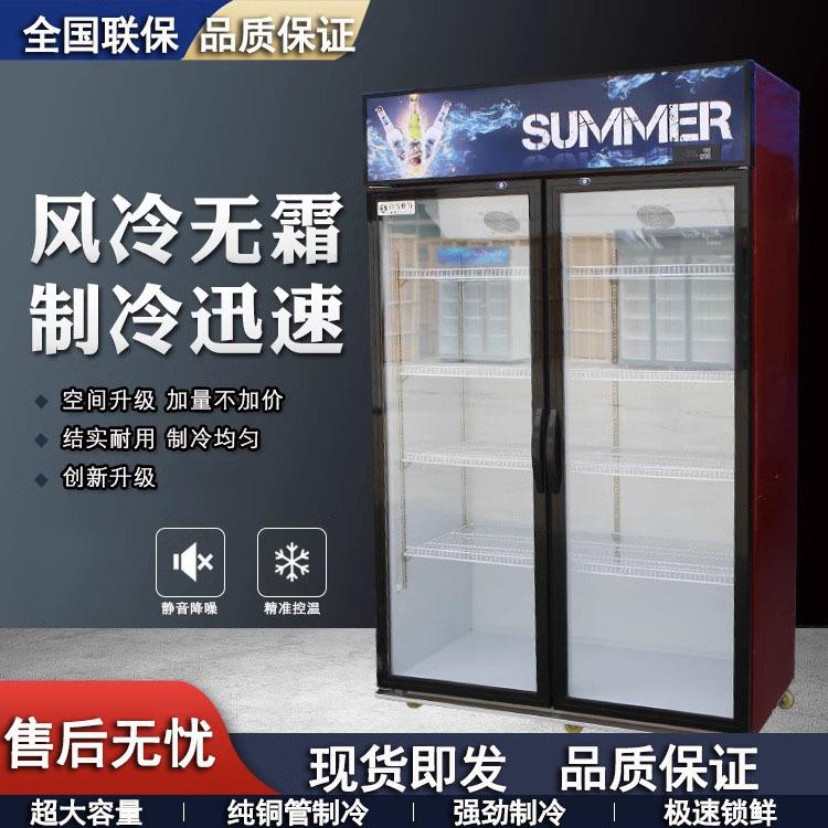 啤酒柜冷藏展示柜立式商用冰箱单门保鲜柜饭店超市冷柜双门 饮料