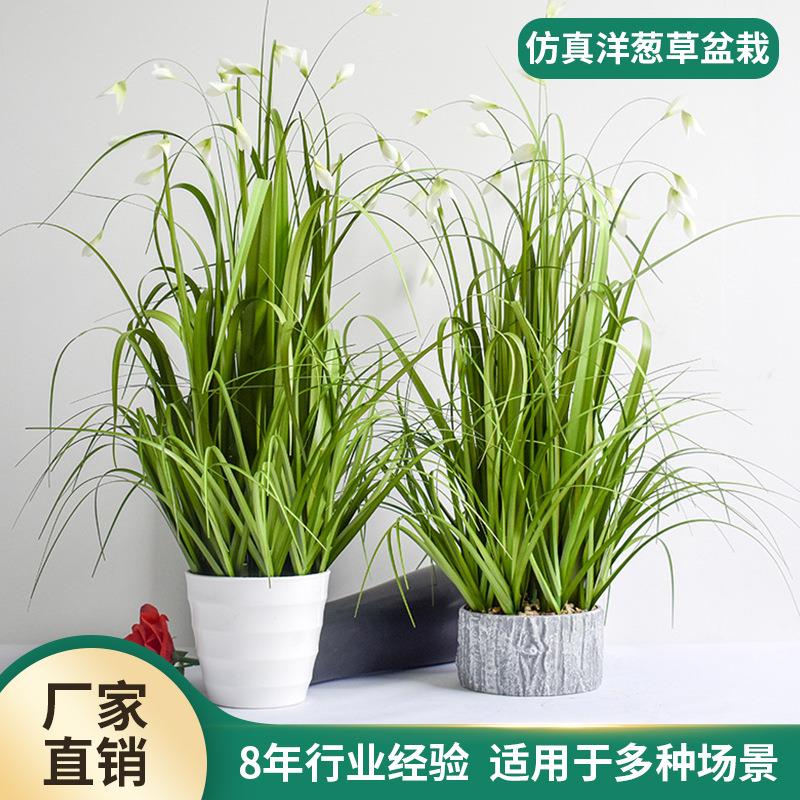洋葱草仿真盆栽园林绿化盆景仿真植物摆件假花假草玉兰花绿植盆栽