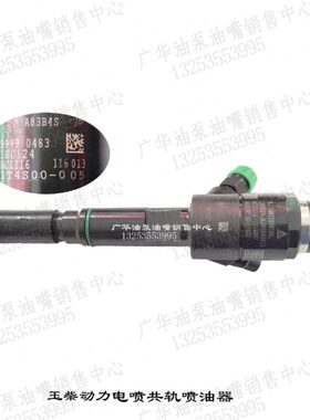北京天纬A83B4S电喷共轨喷油器116013玉动柴油电喷油嘴1T4S00-005