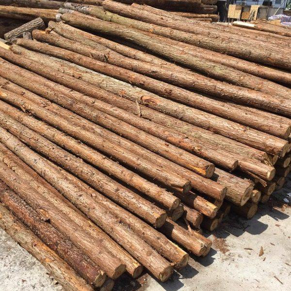 长木桩杉木原木树干围栏实木造景装饰造型树原木木头树桩木段木方,家居饰品,户外/庭院摆件,淘宝优惠券,粉丝福利购,淘宝优惠卷