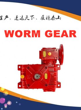 WPWT70.WPWV100.40.50.60.80.120.135.155.175.200.250电机减速机