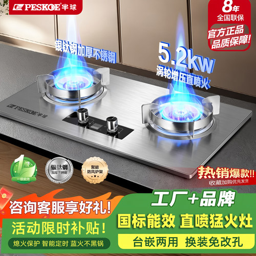 半球双灶直喷猛火燃气灶家用炉灶