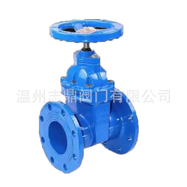 Z45XPN16DN50DN600德标软密封暗杆闸阀球墨铸铁QT450