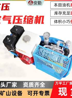 便携式经久耐用空气压缩机RZX100-G 便携式呼吸气瓶空压机