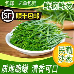 沙葱新鲜蔬菜民勤特产蒙古韭野菜顺丰包邮送货上门火锅食材腌酸菜