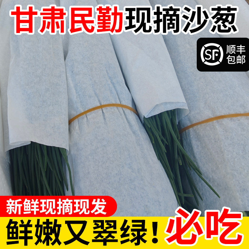顺丰甘肃新鲜沙葱人工挑选特菜