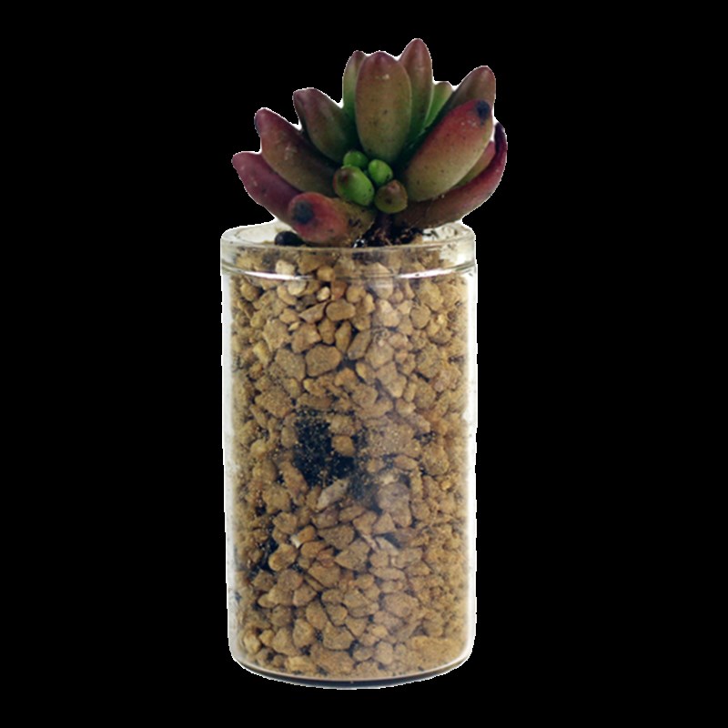 包邮10只指尖小花瓶迷你养多肉小花盆母指瓶肉肉种植生石花玻璃瓶