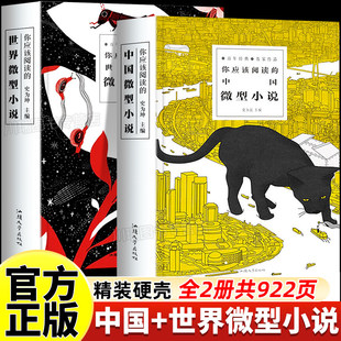 你应该阅读的中国微型小说+世界微型小说百年经典名家作品青春文学短篇现当代尽享传世美文体味大师情怀小N说故事
