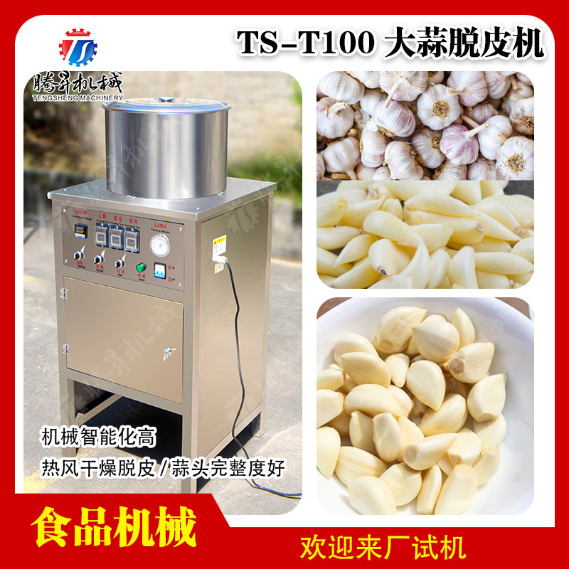不锈钢大蒜红葱头脱皮机剥皮机 小型大蒜去皮机 腾昇机械
