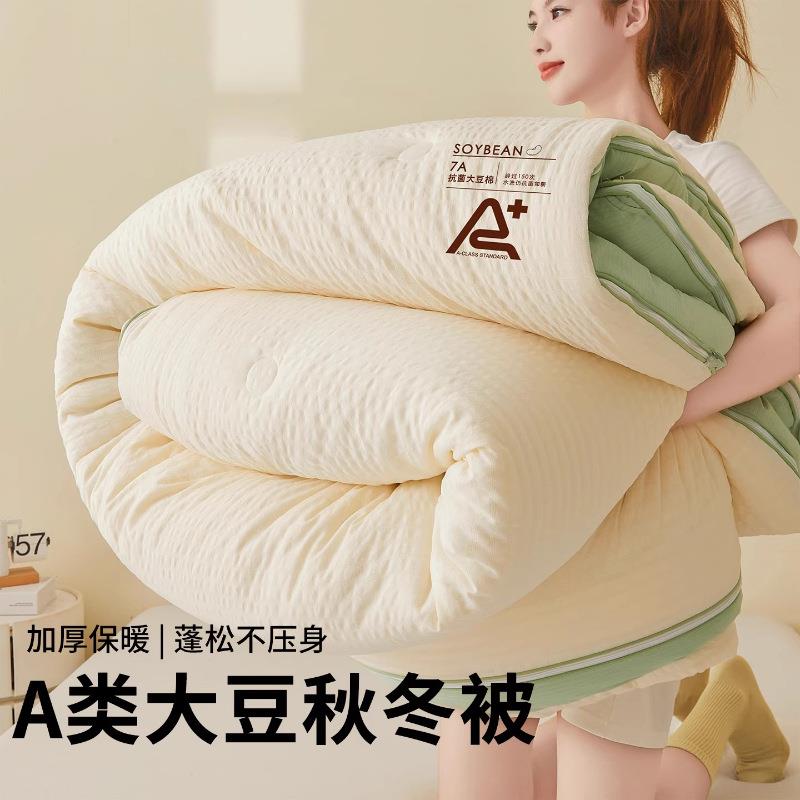 a类大豆纤维子母被二合一家用春秋被加厚款冬被被芯学生宿舍被子