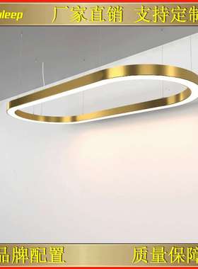 commerical fixture light customized ring cirele round light