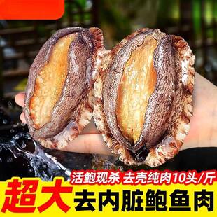 鲍鱼肉鲜活冷冻新鲜特大号去壳冰鲜速冻小鲍鱼肉海鲜火锅食材商用