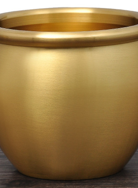 全铜水缸摆件铜缸招财缸水家居客厅办公室装饰工艺品铜缸乔迁礼品