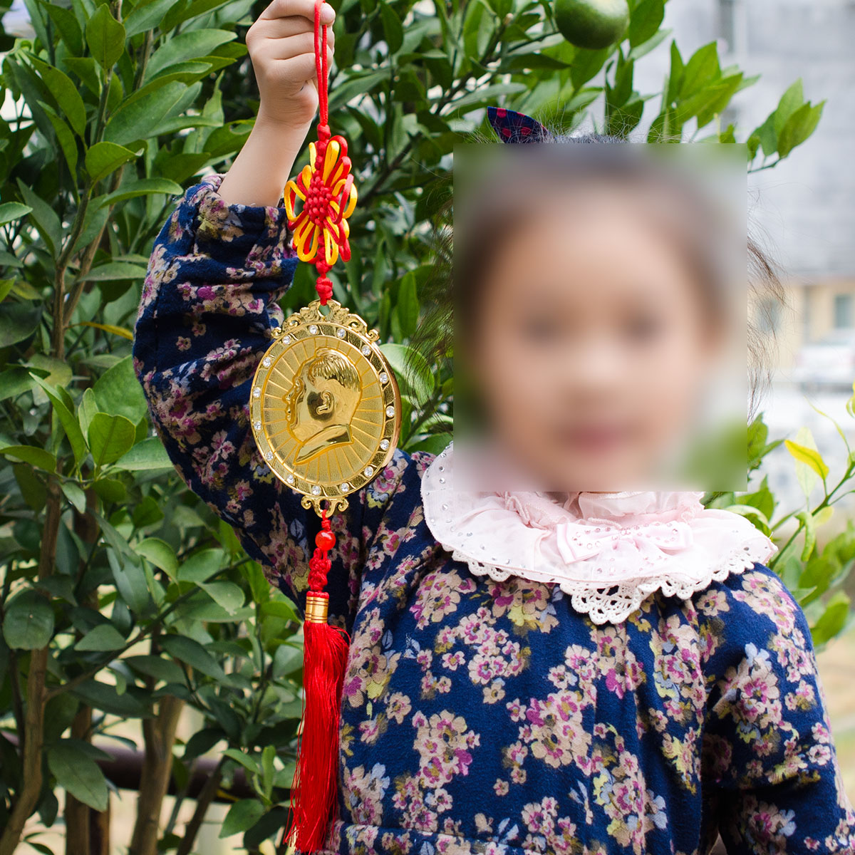韶山地区工艺特色家居门饰家居装饰壁饰吊坠狼妖多么高耦合干扰青