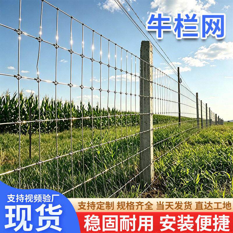 防锈防护家禽菜园网养殖网钢丝网镀锌防护栏山林围界牛栏网围栏网