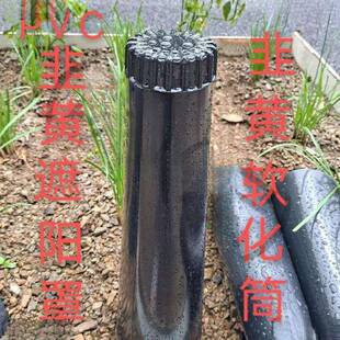 通用遮韭黄遮阳罩蒜黄塑料筒桶韭蒜黄种植筒韭蒜黄