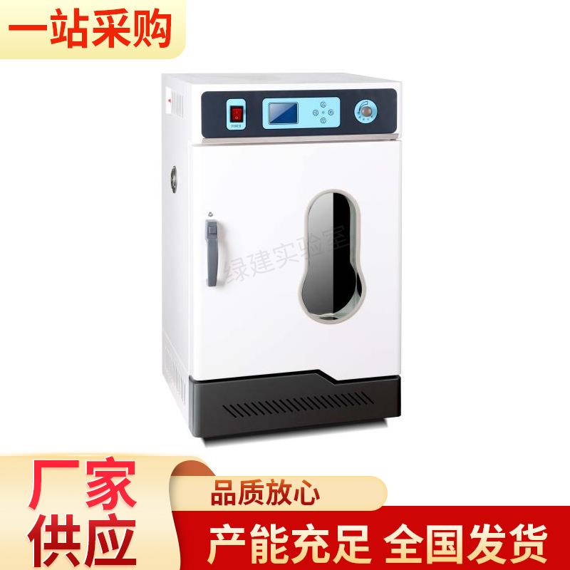 II型立式鼓风干燥箱实验室用电热恒温烘箱实验室烘干机干燥箱