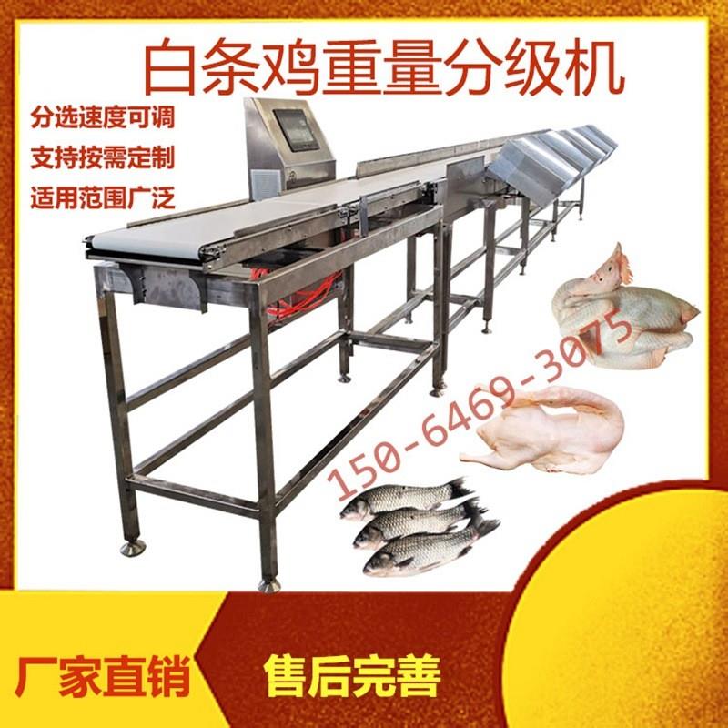 重量分选机 食品海鲜称重分级机 全自动分拣机料盒式智能皮带秤