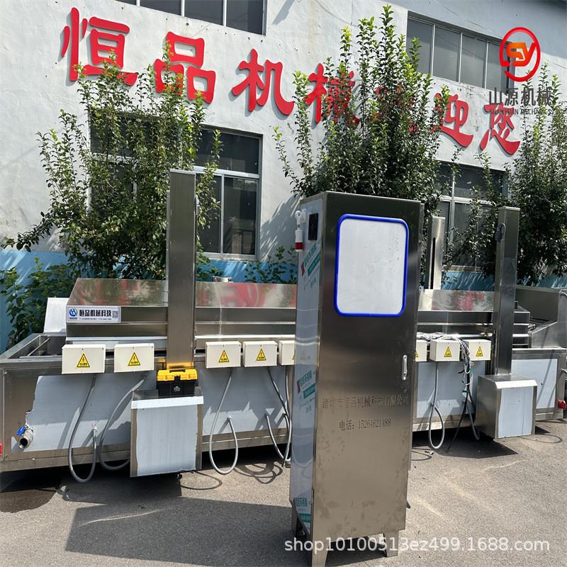 狮子头自动油炸流水线 小型肉饼油炸线 炸鸡块鸡米花生产线