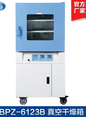 上海BPZ-612B 真空干燥箱 程序液晶控制器