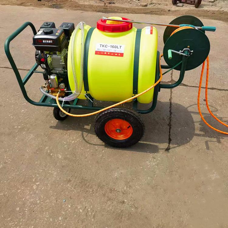 手推汽油打药机电动打药机300L 30米喷管自动打药机高压喷雾器