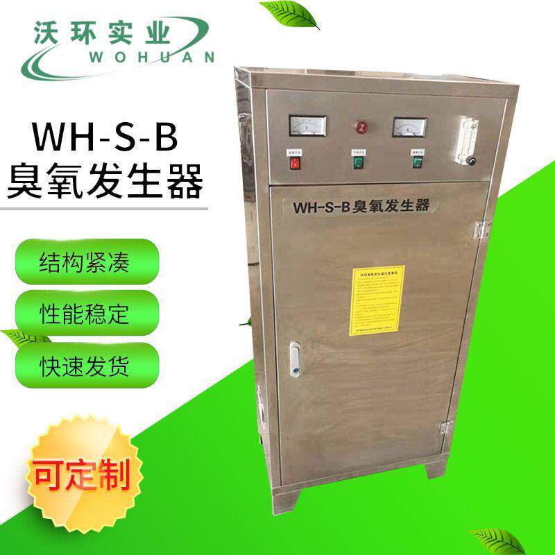 厂家销售小型移动式臭氧发生器 空间消毒净化臭氧设备非标可定