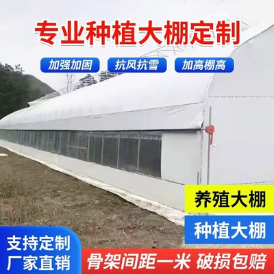 养殖大棚全套大棚骨架家用温室种植棚专业养鸡棚羊棚牛棚养猪大棚