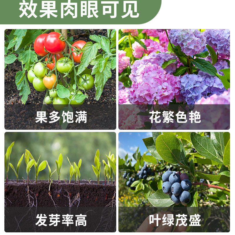 豆粕生物菌肥天然有机花肥 蔬菜家庭园艺底肥