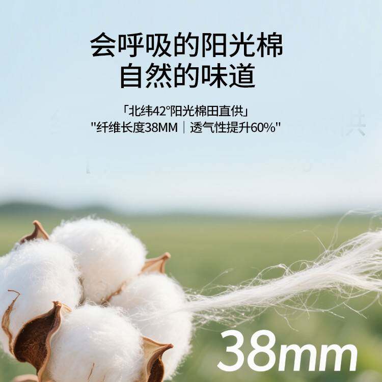 棉花床笠2026新款四季通用床套全包防滑床罩床垫套保护罩床单套罩