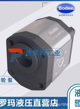 现货BODEN齿轮油泵BKP0.5B0-D-0.19G0L0/0.26/0.38/1.25/2.0