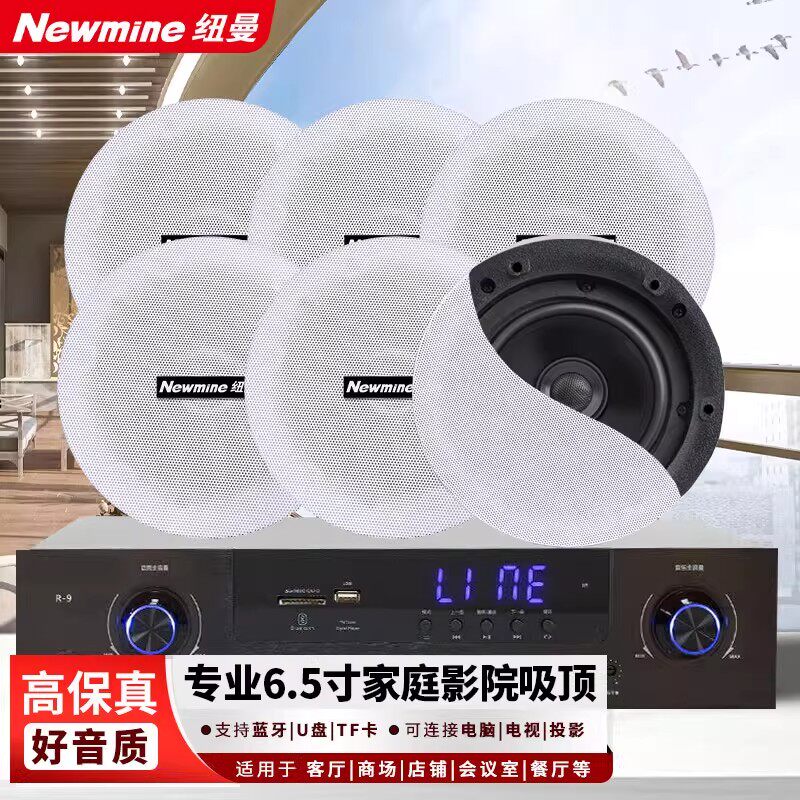 纽曼ND-8吸顶音响套装定阻家庭影院用嵌入式吊顶音箱喇叭6.5英寸