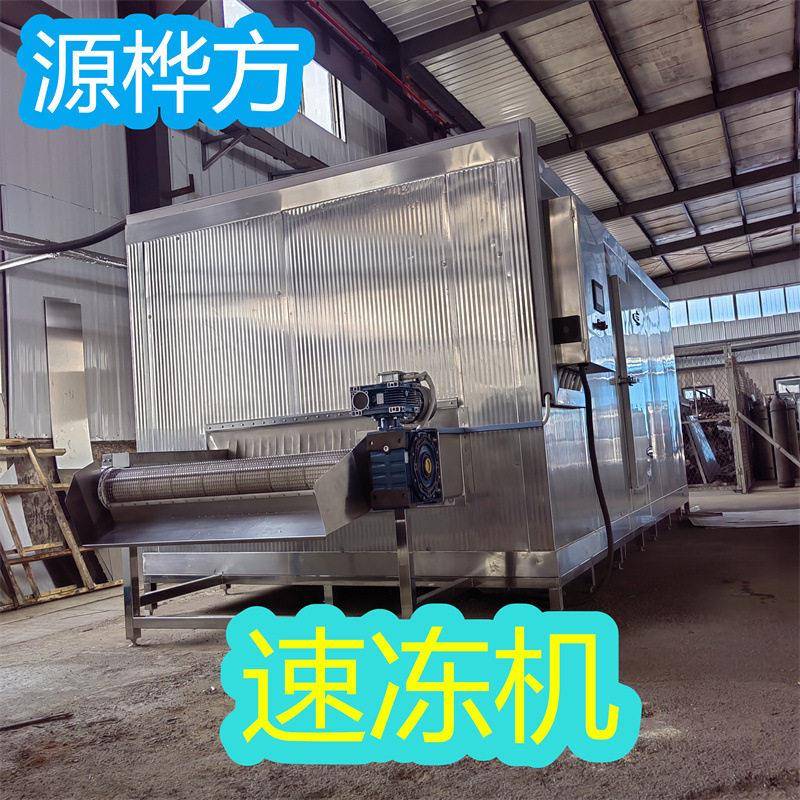 源桦方猪肉包速冻机芝麻汤圆冷冻加工设备鱿鱼冷冻机