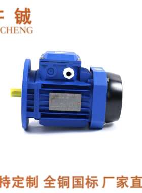 厂家供应YS8024|YE2 8024， 750W电机|4极电机|1400转，铝壳电机