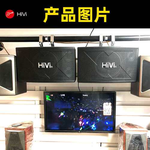 HiVi/惠威 KX-1000 专业音响 单10寸 ktv音箱 家庭娱乐卡拉OK音箱