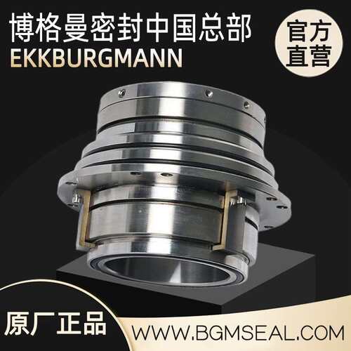武汉博格曼SAF-110-QREG机械密封厂家 不锈钢2205/碳化硅压力筛