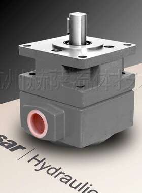 YB1-100/YBD-100 油泵 杭机平面磨床配件 仙居液压件