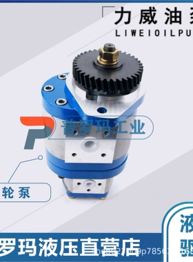 1032300027 中联重科ZOOMLION合肥力威液压助力油泵QC25/13-WP-PY