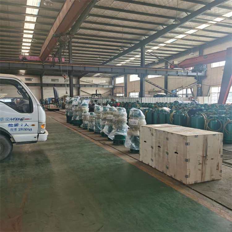 BQS10-100/3-7.5/N潜水泵 排污能力强 防缠绕无堵塞 BQS潜水泵 - 实物图