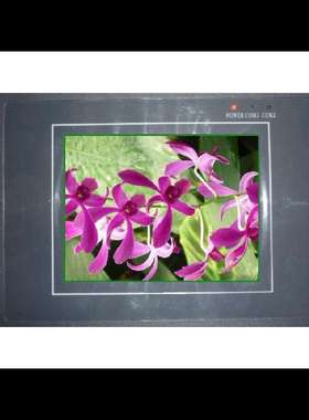 维修威纶触摸屏MT4300L、MT4300C、MT4300T