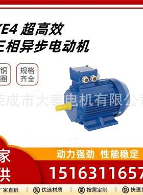 山东大泰电机厂家YE5-280M-2-90KW卧式马达三相异步出口马达电机